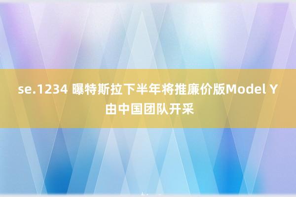 se.1234 曝特斯拉下半年将推廉价版Model Y 由中国团队开采