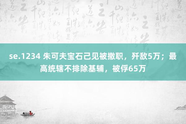 se.1234 朱可夫宝石己见被撤职，歼敌5万；最高统辖不排除基辅，被俘65万