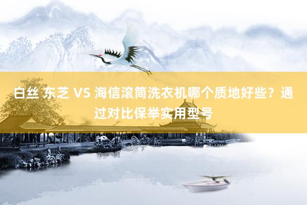白丝 东芝 VS 海信滚筒洗衣机哪个质地好些？通过对比保举实用型号