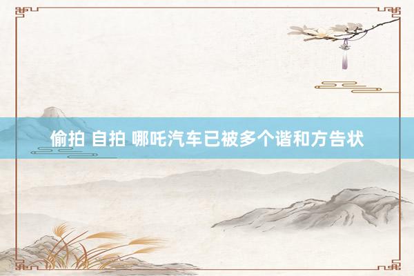偷拍 自拍 哪吒汽车已被多个谐和方告状