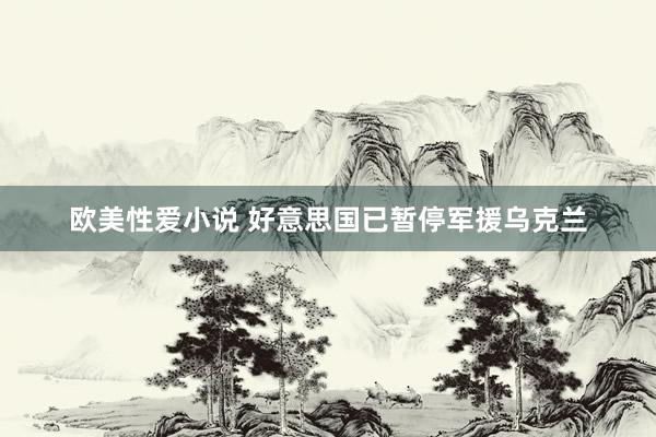欧美性爱小说 好意思国已暂停军援乌克兰