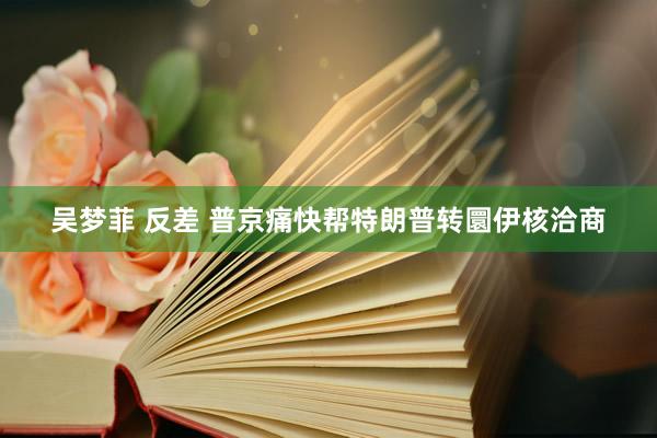 吴梦菲 反差 普京痛快帮特朗普转圜伊核洽商