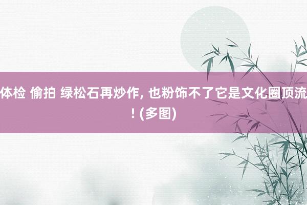 体检 偷拍 绿松石再炒作， 也粉饰不了它是文化圈顶流! (多图)