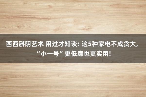 西西掰阴艺术 用过才知谈: 这5种家电不成贪大， “小一号”更低廉也更实用!