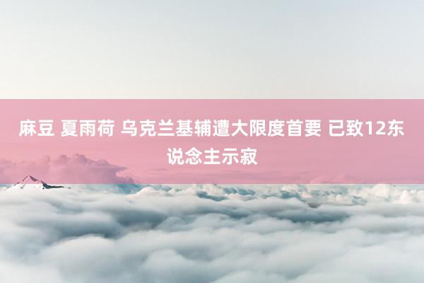 麻豆 夏雨荷 乌克兰基辅遭大限度首要 已致12东说念主示寂