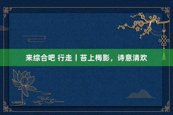 来综合吧 行走丨苔上梅影，诗意清欢