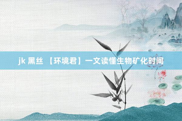 jk 黑丝 【环境君】一文读懂生物矿化时间